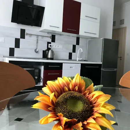 アパート Sunflowers