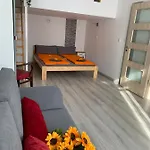 Sunflowers Budapest