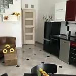 Sunflowers Budapest
