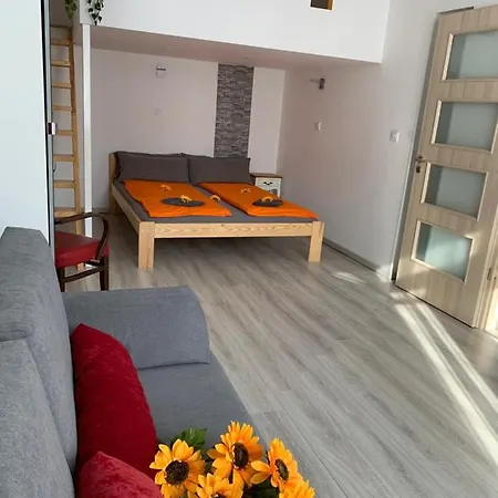 Sunflowers Budapest