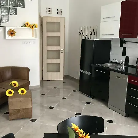 Sunflowers بودابست