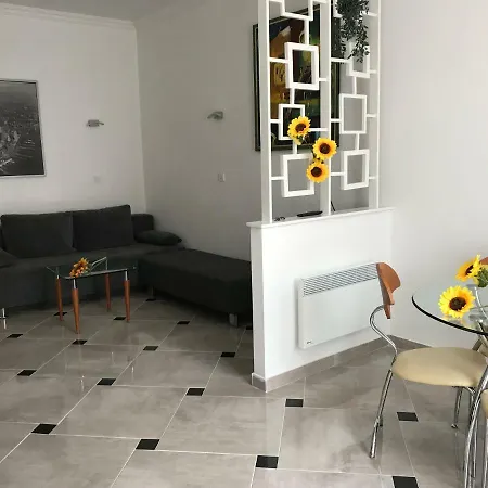 Sunflowers * Budapest