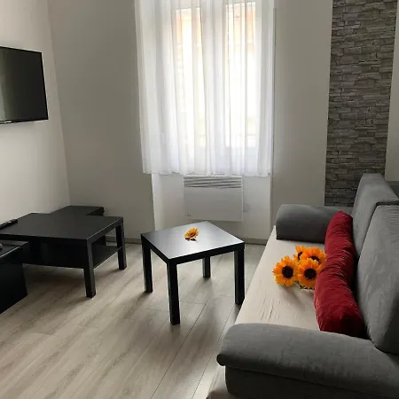 Sunflowers * Budapest