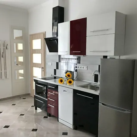 Sunflowers * Budapest