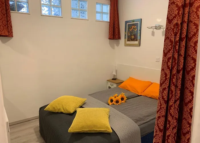 Sunflowers Budapest