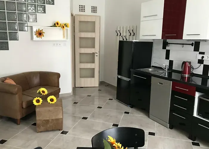 Sunflowers Budapest