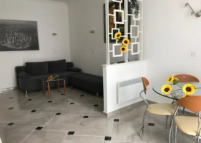 Sunflowers * Budapest